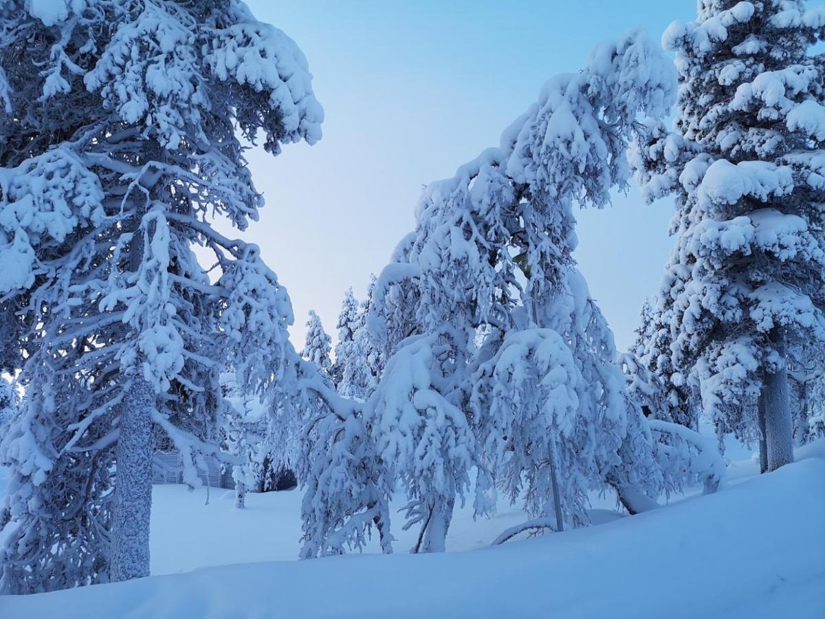 Arctic Log Cabins ساريسيلكا المظهر الخارجي الصورة