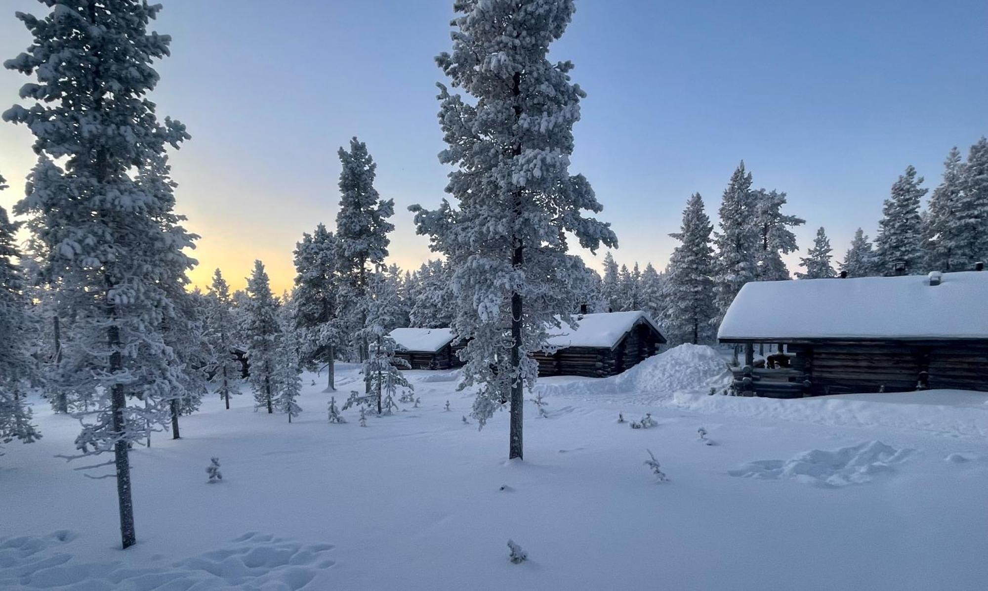 Arctic Log Cabins ساريسيلكا المظهر الخارجي الصورة