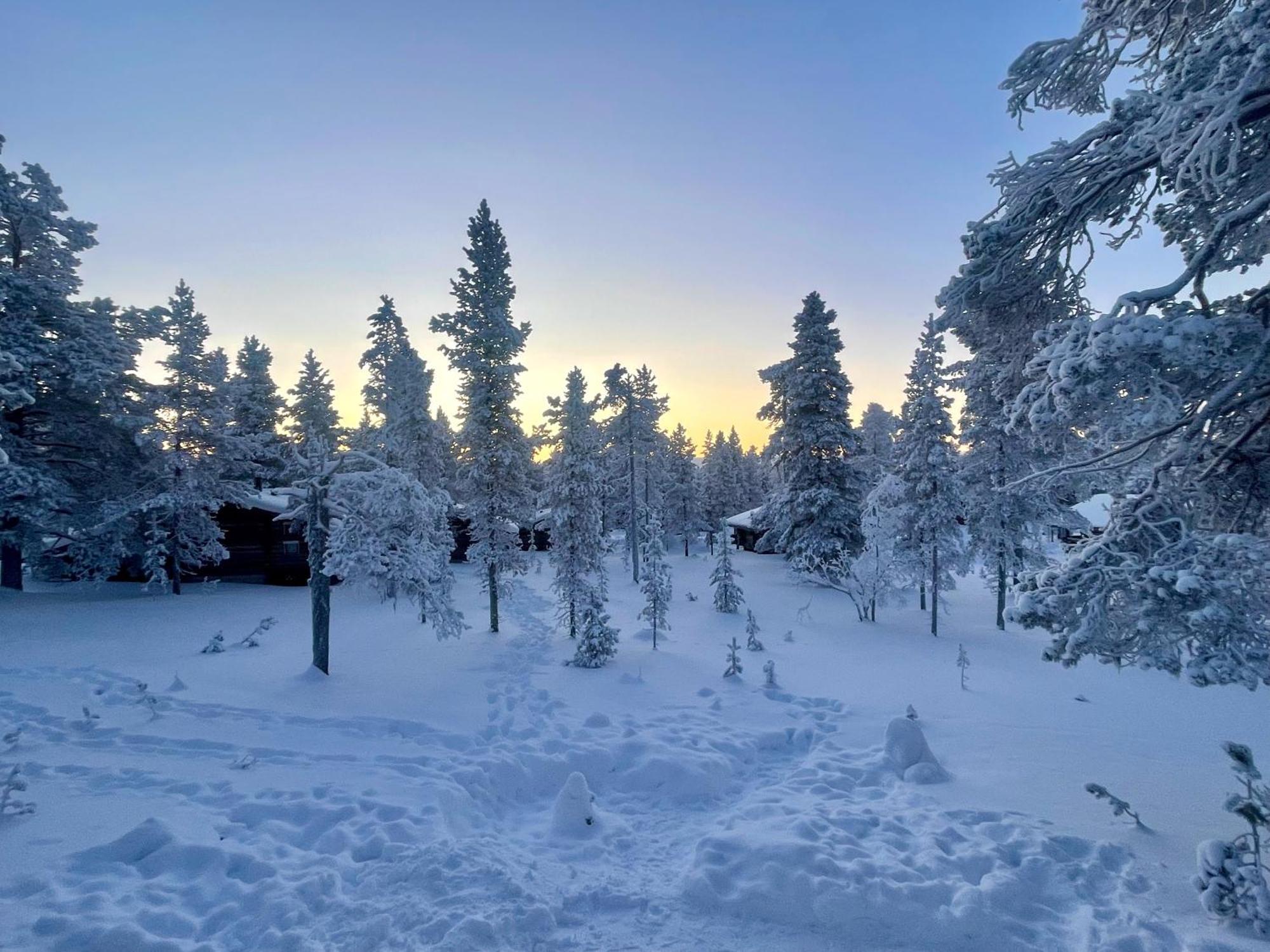 Arctic Log Cabins ساريسيلكا المظهر الخارجي الصورة